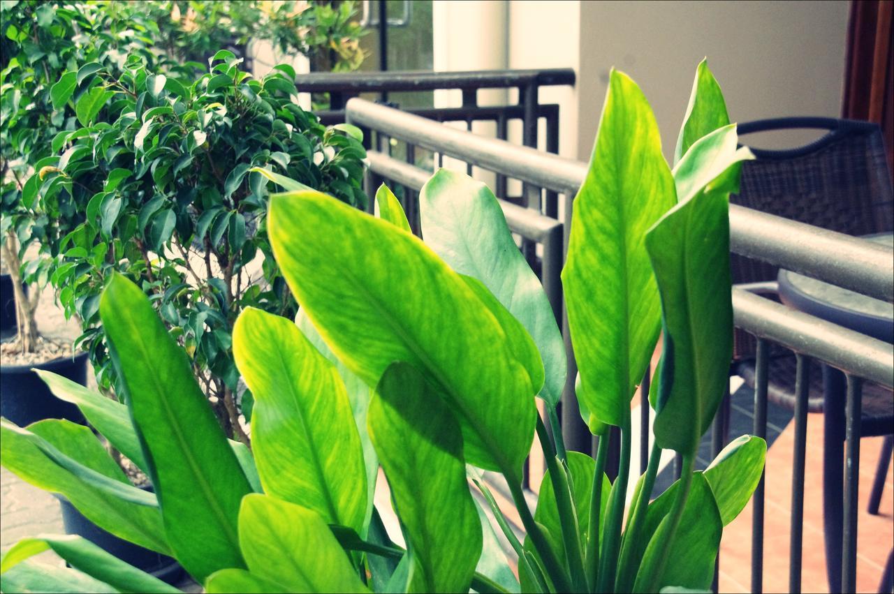 Citi Serviced Apartments & Motel - Lagatoi Place Port Moresby Kültér fotó